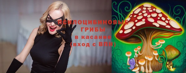 ешки Алексин