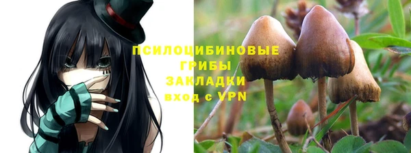 спайс Алзамай