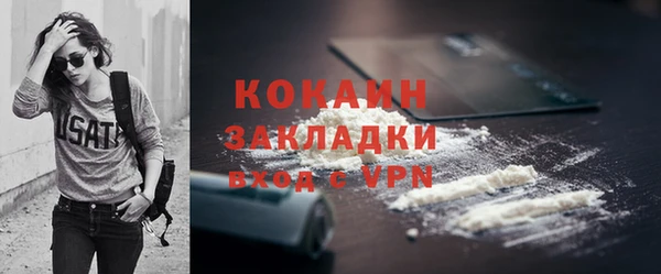 ПСИЛОЦИБИНОВЫЕ ГРИБЫ Богданович