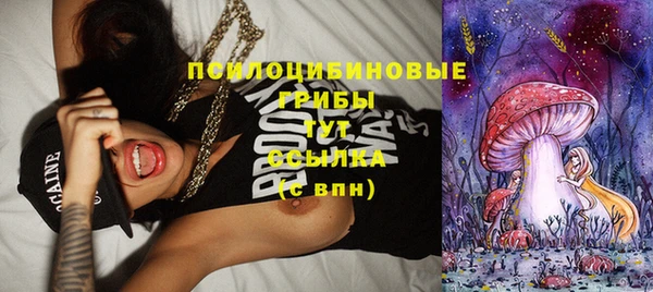 спайс Алзамай