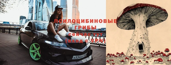спайс Алзамай