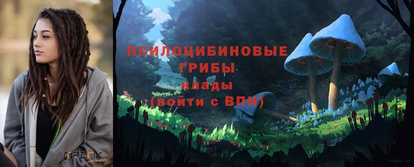метадон Алексеевка